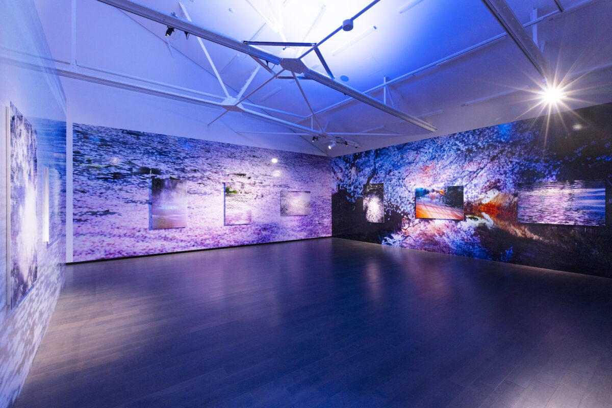 Installation view  ©Lucky Star Co.,Ltd