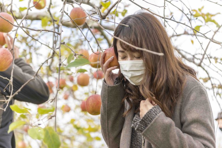 りんごのヘッドフォン Apple Phone