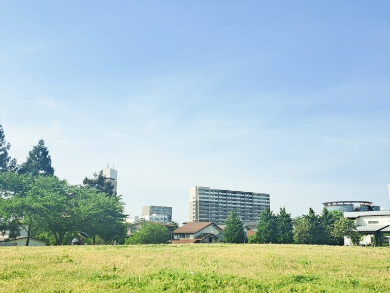 大人のためのプレイフルワーク 〜美術館のはらっぱであそぼう〜