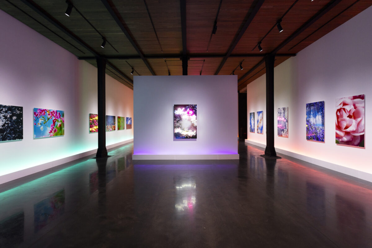 Installation view of the Exhibition ©Lucky Star Co.,Ltd