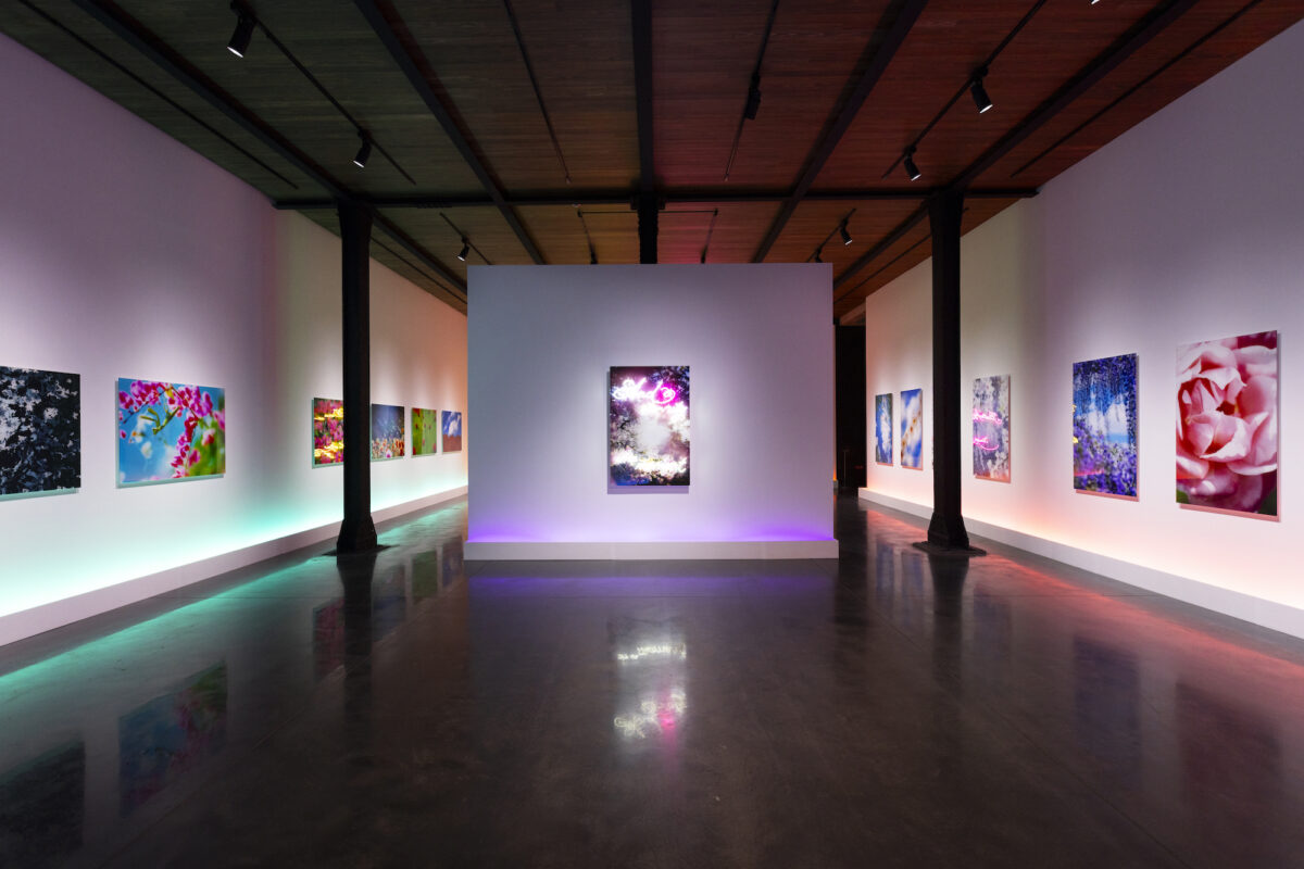 Installation view  ©Lucky Star Co.,Ltd