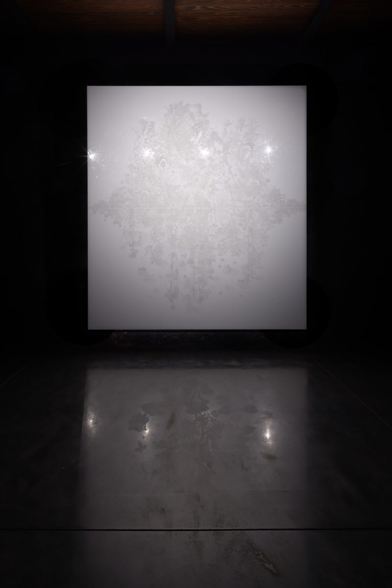 OHMAKI Shinji, Echoes Crystallization: Horizon, 2023Photo: Keizo Kioku