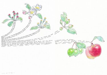 コレクション展 2025-2026