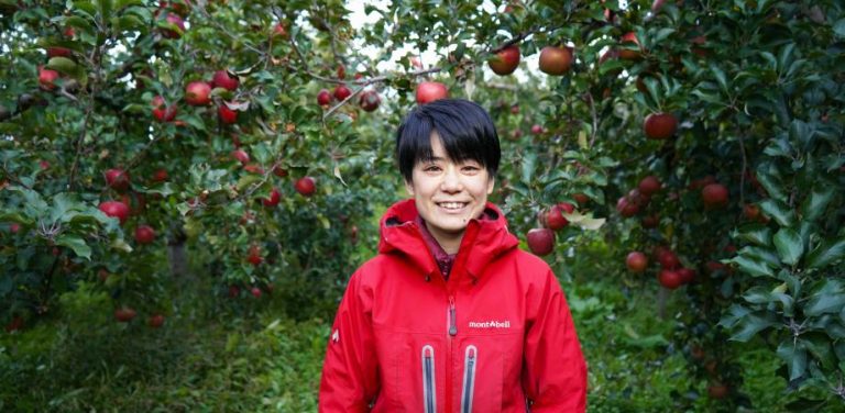 りんご農作業体験