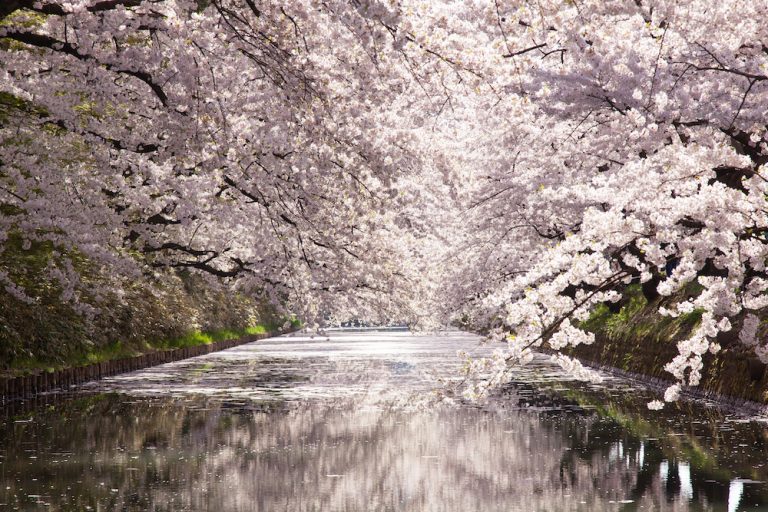 永野雅子写真展 弘前「かすかな光」