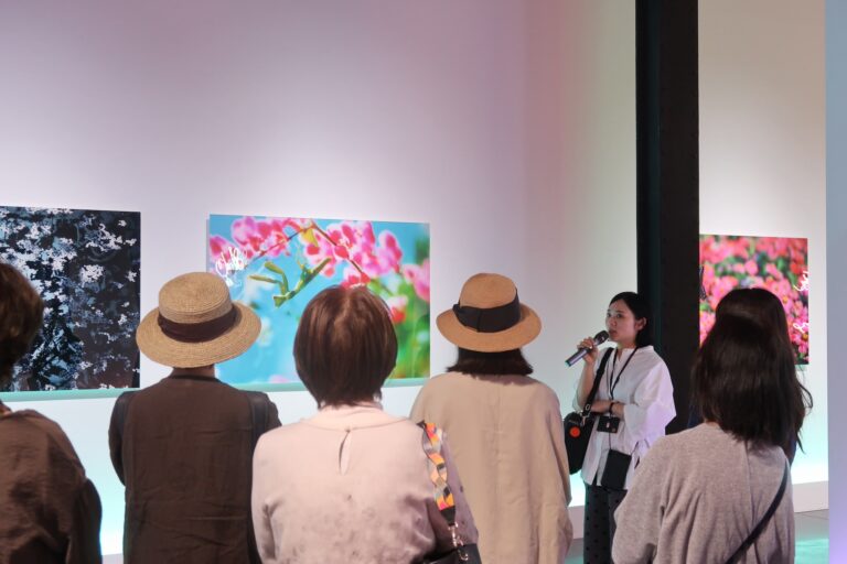 学芸スタッフによる蜷川展解説ツアー